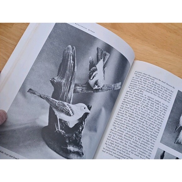 Carving Realistic Birds: A Step-by-Step Manual & Patterns by H. D. Green PB - Picture 5 of 9